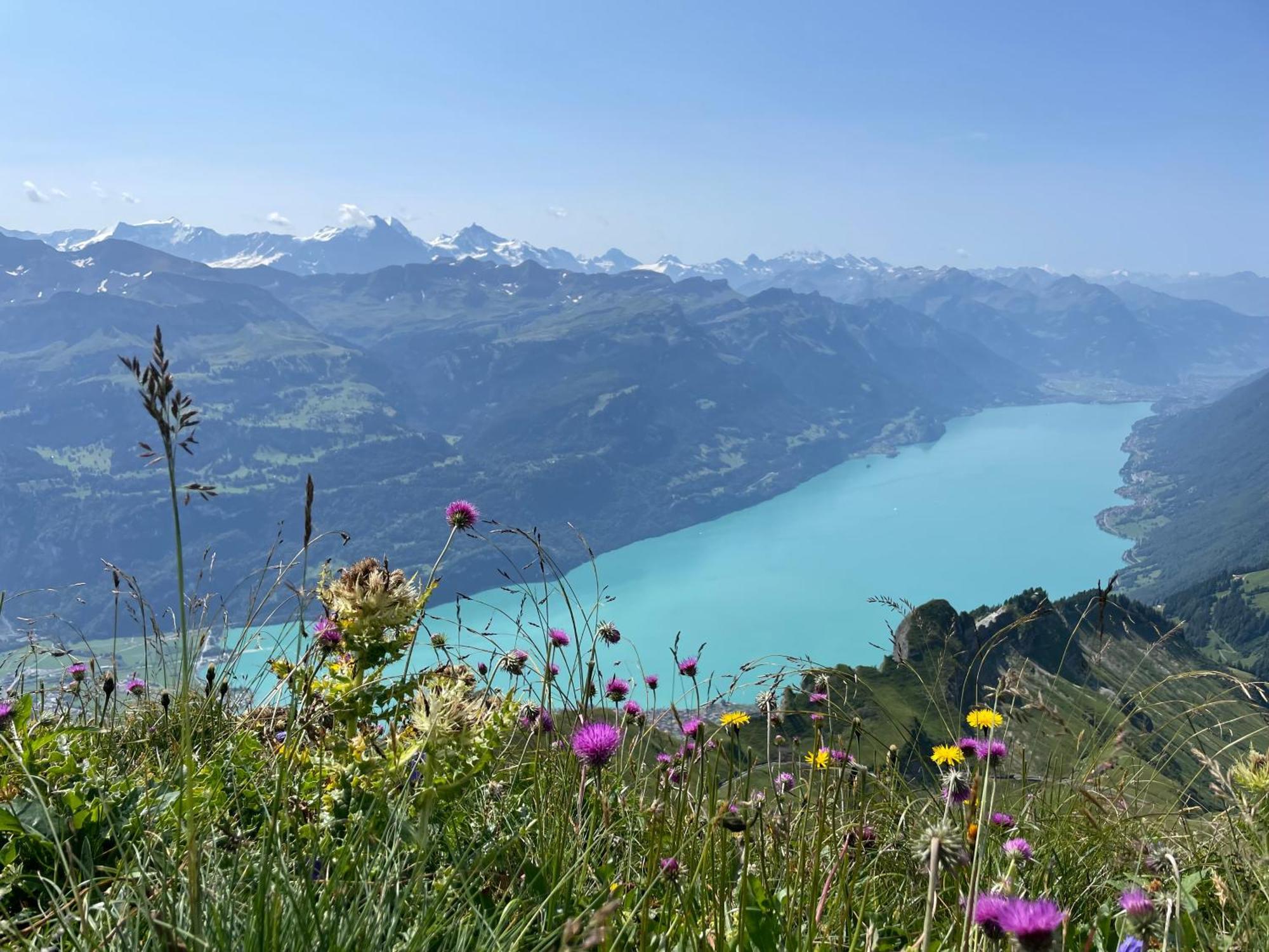 Romantic Lake & Mountain Apartment Pure Swissness Brienz  Eksteriør billede