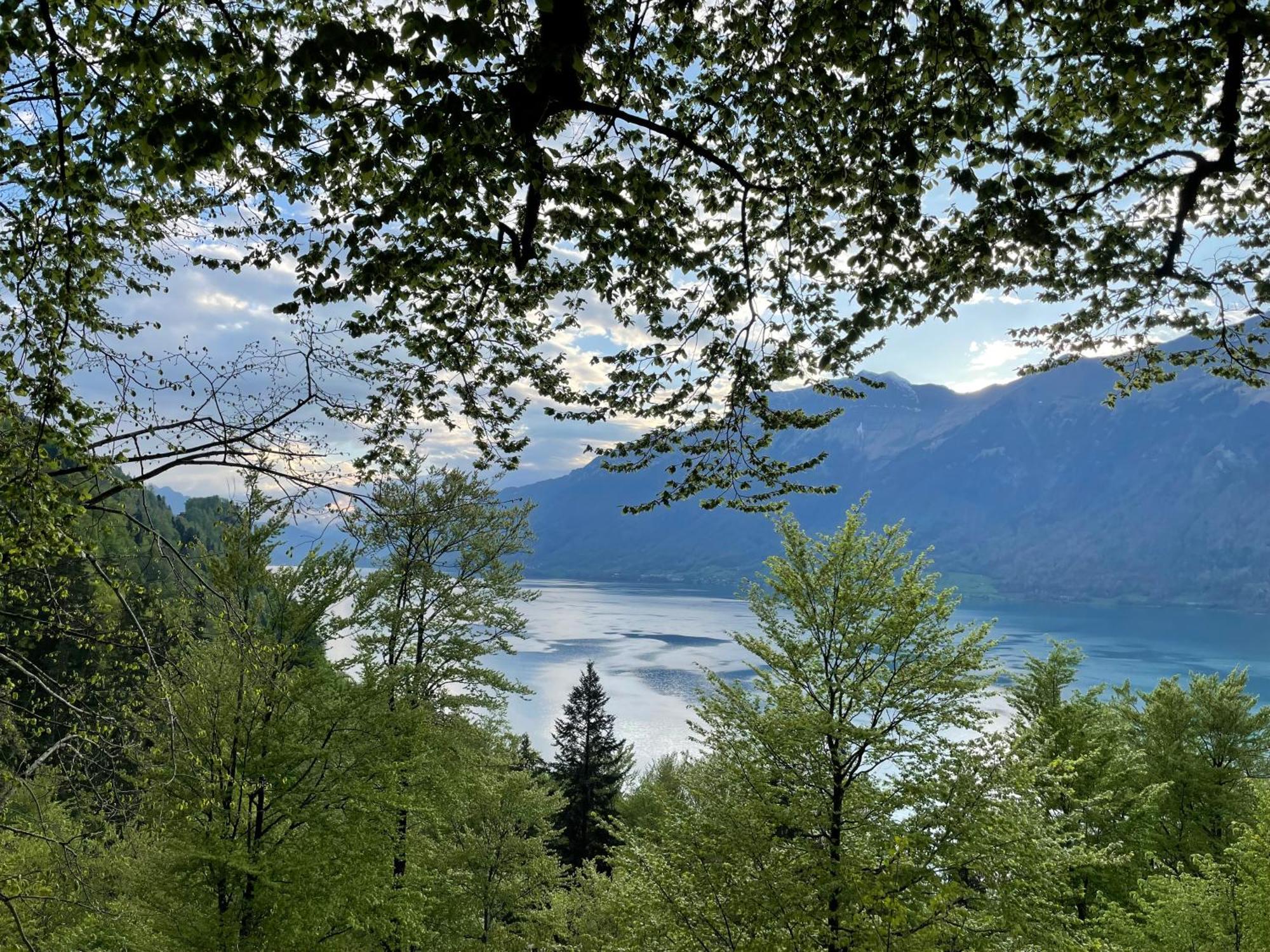 Romantic Lake & Mountain Apartment Pure Swissness Brienz  Eksteriør billede