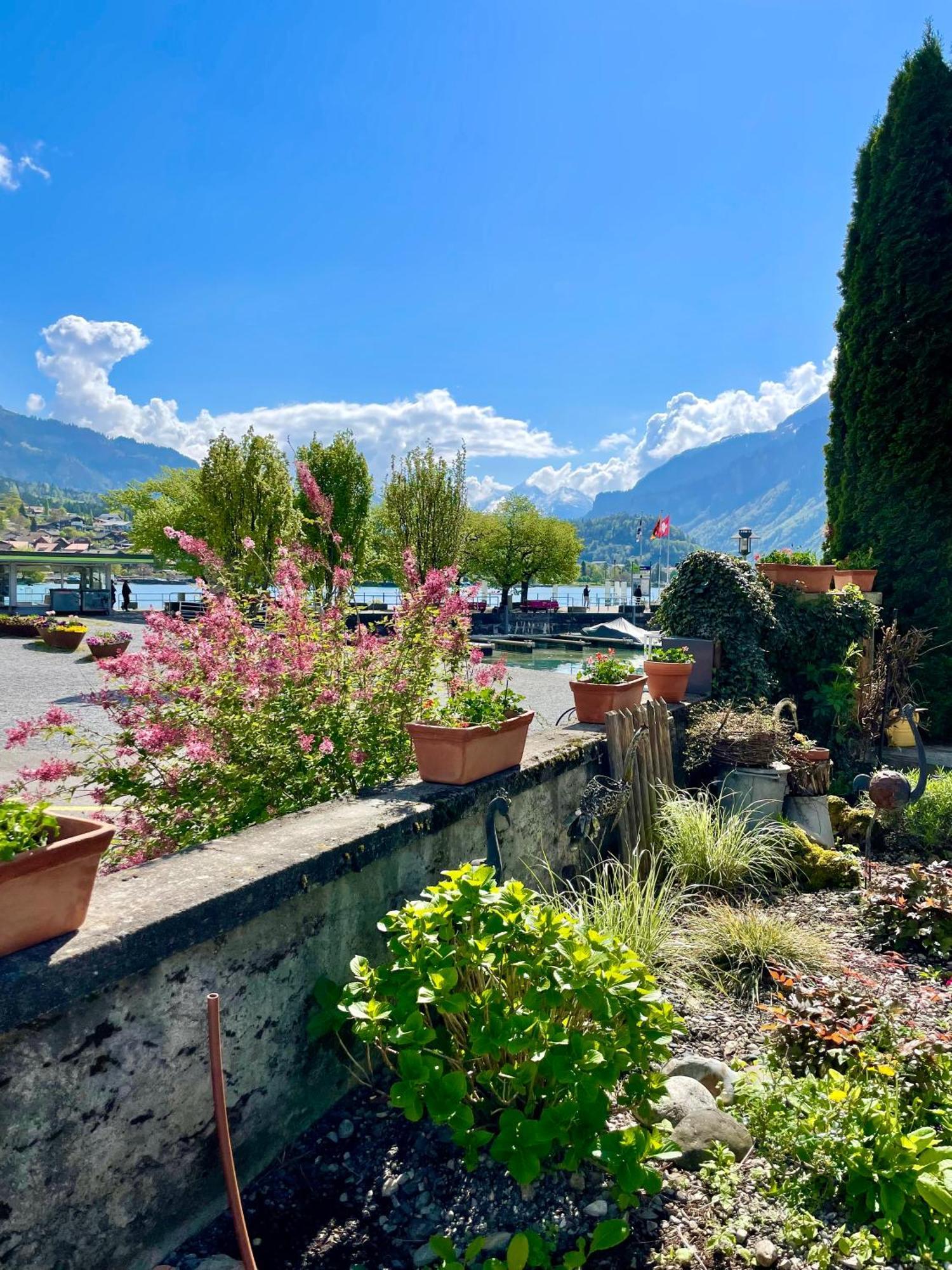 Romantic Lake & Mountain Apartment Pure Swissness Brienz  Eksteriør billede